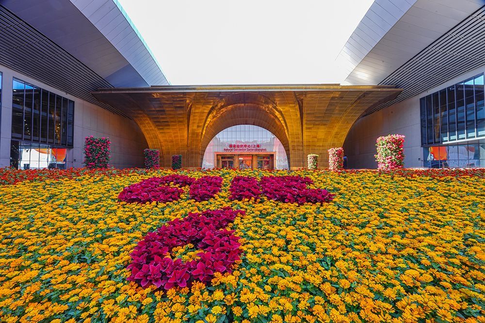 從小展位到大品牌的進(jìn)博會醫(yī)療器械與醫(yī)藥保健展區(qū)展位設(shè)計(jì)搭建